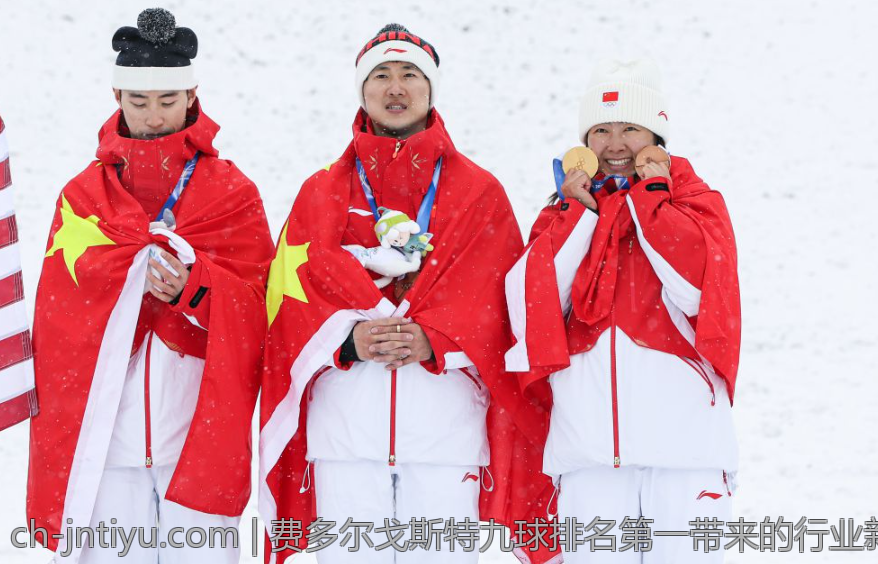 费多尔戈斯特九球排名第一带来的行业新变革